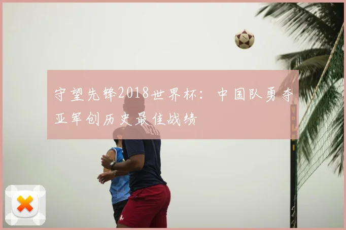 守望先锋2018世界杯：中国队勇夺亚军创历史最佳战绩