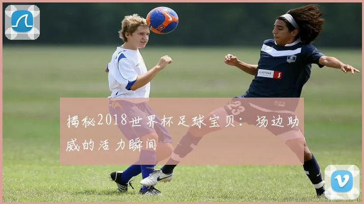 揭秘2018世界杯足球宝贝:场边助威的活力瞬间