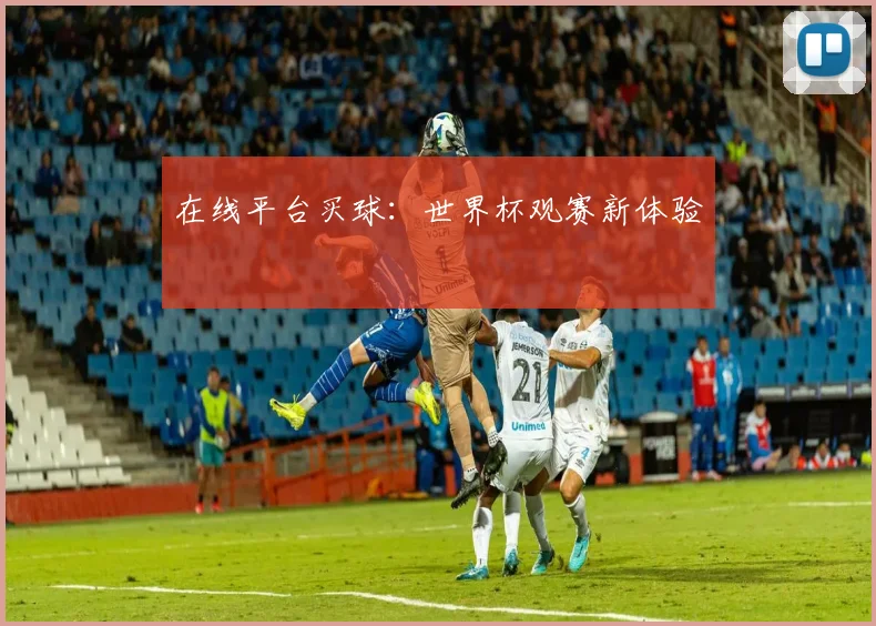 在线平台买球：世界杯观赛新体验