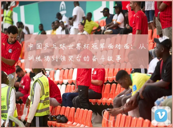 中国乒乓球世界杯冠军面对面：从训练场到领奖台的奋斗故事