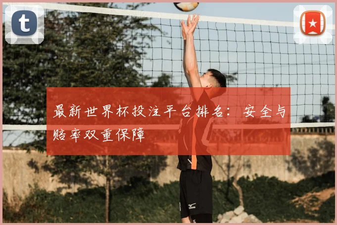 最新世界杯投注平台排名：安全与赔率双重保障