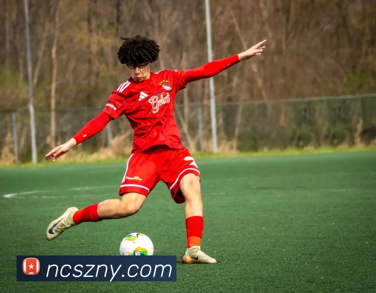 开云手机在线登陆入口APP 封面图